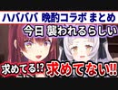 襲わないと言っても信じてもらえないマリン船長とシオンの晩酌オフコラボ まとめ【紫咲シオン/宝鐘マリン/ホロライブ切り抜き】