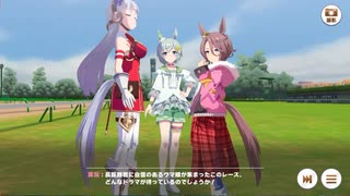 ウマ娘　チームレース5