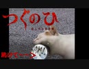 こんなにねこちゃん可愛いのに……びっくり！！！『つぐのひ -ねこのひ怪奇譚-』