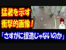 【韓国の反応】 日本の 猛暑を示す 衝撃的な 画像がこちら → 韓国人「マジで？」 「そんなことあり得るのか？」