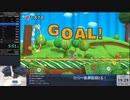 [WR] ヨッシーウールワールド  any% バッジ禁止RTA 2:28:48