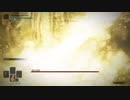 【初見】日本語が怪しいのに初実況にエルデンをリングする。Part18