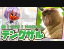 ひとくち動物図鑑　#13　テングザル　[VOICEROID解説]