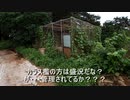 （敗戦なう回ｗ）変態忍者の、有害鳥獣駆除従事活動記・その２０４