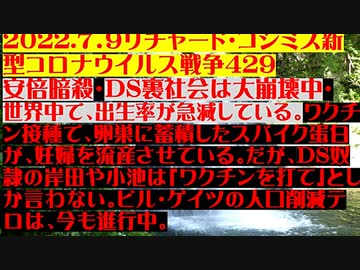 【2022年07月09日：リチャード・コシミズ Internet 講演（ 改良版 ）】