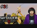 魔法剣士アキヒト【ウィッチャー3 / THE WITCHER 3 WILD HUNT】実況プレイ Part35