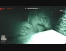【OUTLAST】ひとらんらんがホラーやってみたpart3【実況プレイ動画】