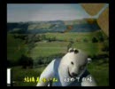 くまうた　（560）　「美希から差し入れ」　唄：嵐山クマ男