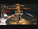 トレーナーの大冒険！ DARK SOULSリマスタード実況プレイ 第二十八話