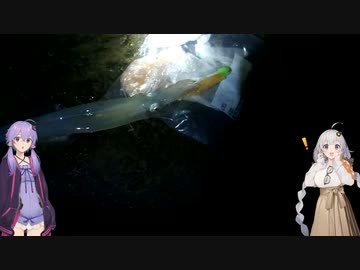 ゆづきずで挑むロックショアフィッシング part2