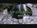 バイクの車載から　vol.30　伊勢神宮②
