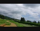 ＜2022夏＞あづみの公園　堀金口を散策（猿に出くわす）
