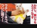 劇撮！ウチューネコチャン、わたし脱いでもスゴイんです