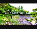 【 ゆんさんぽ 】めーさんを探せ！(ノーカット版)