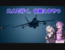 【ACE COMBAT 7】二人で行く、谷越えるやつ！