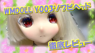 【ラブドール解説】WMDOL Y003ソフビヘッド　徹底レビュー【ゆっくり解説・ゆっくり茶番劇】