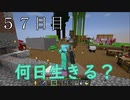 【５７日目の７回目】ワンブロックの世界をハードコアで生き残れ！