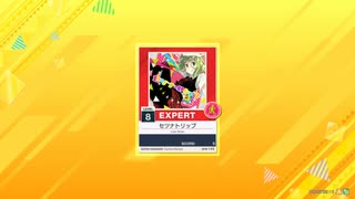 CHUNITHMNEW譜面確認用　セツナトリップ　EXPERT