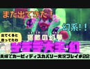【実況】アラサー夫婦が全力で楽しむ星のカービィディスカバリー！＃22