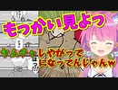 ドラゴンボールネタをおかわりして見るルーナ姫【姫森ルーナ/ホロライブ切り抜き】