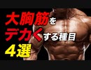 【筋トレ】大胸筋をデカくする種目 4選 | 現役ボディビルダーが解説【ビーレジェンド プロテイン】