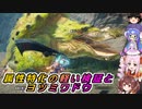 【MHサンブレイク】双剣属性特化の軽い検証とヨツミワドウ