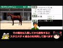 ダビスタ DS 攻略の基礎 スタミナ判定方法