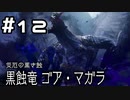 【実況】モンスターハンターライズ：サンブレイクをやってみる。12日目
