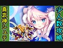 【攻略動画】真・武神降臨！シュテファン 超難（少人数攻略）【御城プロジェクト:RE】