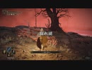 【ELDEN RING】発売日からトロコンするまで【実況】 part93