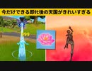 【小技集】この花の上でスライディングすると天国に行けるの知ってますか？シーズン３最強バグ小技裏技集！【FORTNITE/フォートナイト】