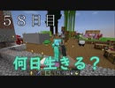 【５８日目の７回目】ワンブロックの世界をハードコアで生き残れ！