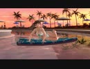 【DoaX3】グラビアパラダイスランダム 071216