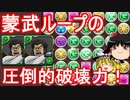 蒙武将軍の斜陣ループが超強い！？【パズドラ】