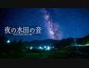 【音散歩】夜の水田の音