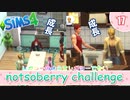 ＃17【シムズ4】レガシーのようで、レガシーでない【ゆっくり実況】
