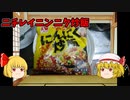 【ルーミアの食レポ】ニンニク炒飯【ニチレイ】