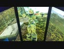 戦場の絆Ⅱ　メサなんとか583
