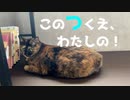 【全部私のなのに】部屋も机も取られた