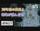 【ピクセルリマスターFF5】ぽんこつヒカセンが4つの心と旅する実況 Part.25【実況】