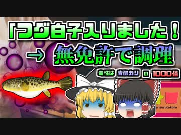 【2009年山形】珍しいフグの白子が入りました！→無免許調理で7人が食中毒に【ゆっくり解説】