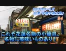【台湾「半健半病」之旅】 #012 台湾旅行記 2019年2～3月 Trip in Taiwan