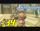 【実況】限りなく初見に近い『ゼノブレイドDE』を全力で楽しむ　#34