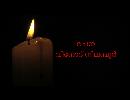 My Video
