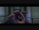 RULEofROSE ~ﾙｰﾙｵﾌﾞﾛｰｽﾞ~ 完遂プロジェクト 「ぞうきん姫の章」 パート21