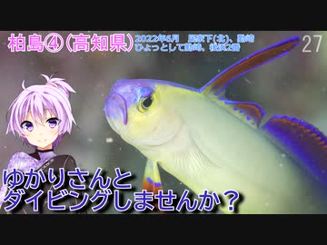 【柏島④(高知県)】ゆかりさんとダイビングしませんか？