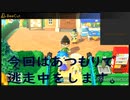 あつ森で逃走中（鬼ごっこ）をしよう！！！