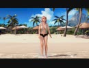 【DoaX3】イベントパラダイスランダム 071404
