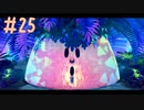 カービィディスカバリー実況☆因縁の対決 #25