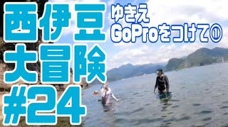 西伊豆大冒険#24ゆきえGoProをつけて①